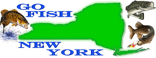 Go Fish New York - All New York Fishing